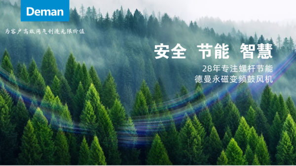 德曼螺桿鼓風機：引領(lǐng)污水處理安全節(jié)能新標桿